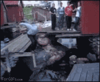 就这样跌入到了水中