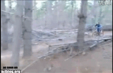 悲剧了，车毁人倒