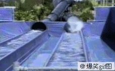 两个玩水的家伙