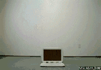 真人魔术玩消失