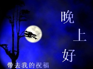 让月亮带去我夜晚的祝福