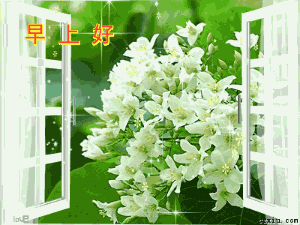 打开窗户问候，早上好