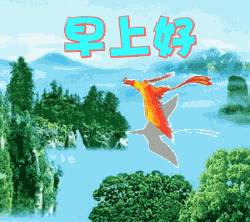 大鸟飞过送问候