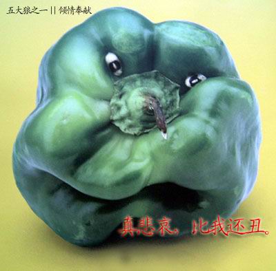真是悲哀啊，比我还丑