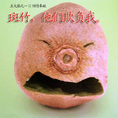 斑竹，他们欺负我