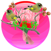 小鸟叫你起床了，早晨好