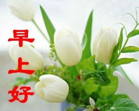 最清爽的问候，早上好