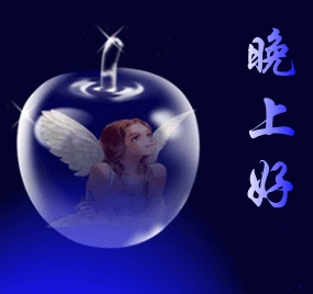 闪闪的问候，晚上好