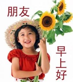 向日葵的早晨问好