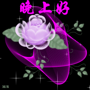 好看动态的晚上问好