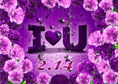2月14，I LOVE YOU
