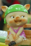 坐着斜眼看人的小猪猪