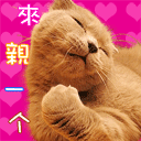 快点来亲一个