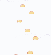 从裤裆里掏出一只鸡