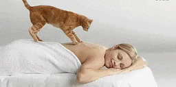 猫咪给美女按摩背部