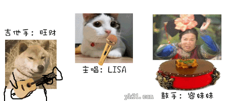 狗狗猫猫和容妹妹组成的乐队
