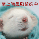 给你献上我真挚的吻