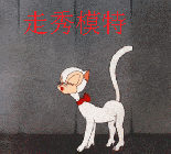 优雅的走猫步