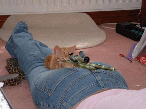 猫咪爬在屁股上躲着开枪