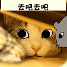 猫咪偷偷看着老鼠路过