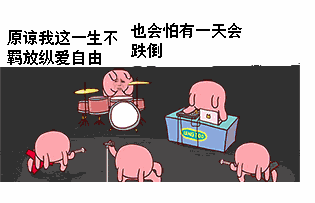 原谅我这一生不羁的放纵