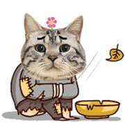 可怜的猫猫，蹲路边讨饭吃