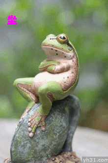 癞蛤蟆坐等天鹅