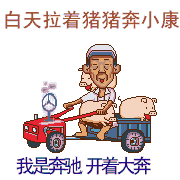 白天拉小猪奔小康，晚上拉美眉上舞场