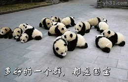 多好的一个群啊，都是国宝