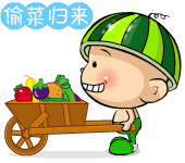 西瓜仔偷菜归来