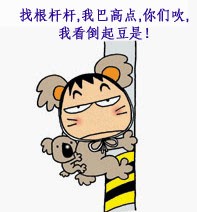 我找根杆杆爬高点，看你们聊天