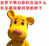 虽然听不明白你们说什么，但是感觉好厉害