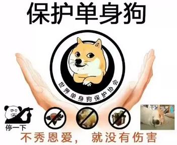 保护单身狗，不秀恩爱就没有伤害