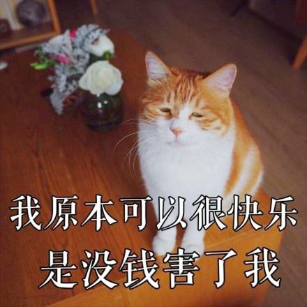 我原本可以很快乐，只是因为没钱害了我