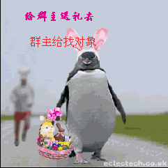 我给群主送礼物，群主给我找对象
