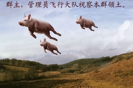 管理员和群主飞行视察群领土