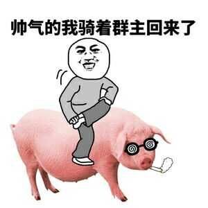 帅气的我骑着群主来了