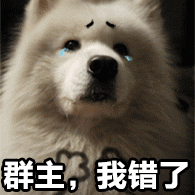群主，我错了
