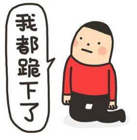 对不起，我都跪下了