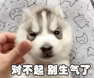 对不起！你别生气了