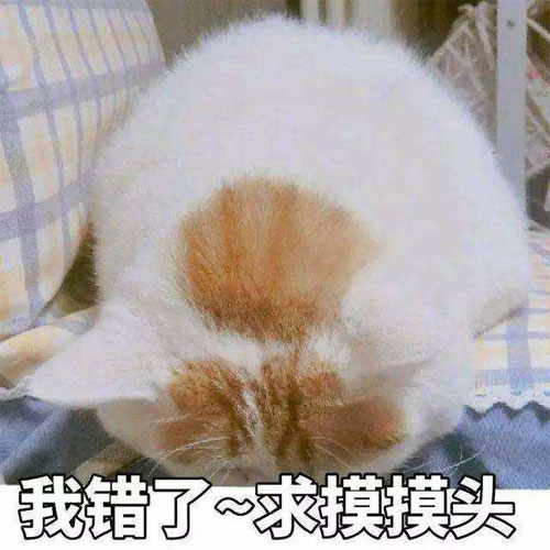 我错了，求你摸摸我的头吧