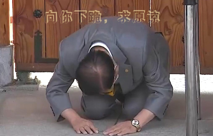 给你下跪，只求你的原谅