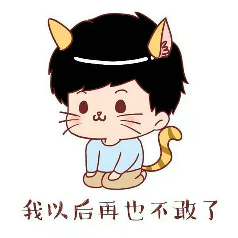 对不起！我以后再也不敢了