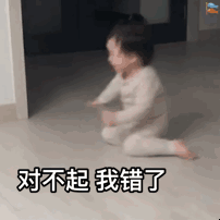对不起，我在这给你跪下了