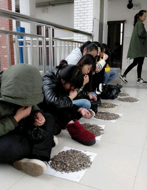上课吃瓜子，老师让你们吃个够