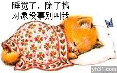 睡觉了，除了搞对象的没事别叫我