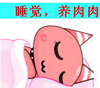 睡觉觉，养肉肉