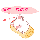 睡觉喽，养膘肉