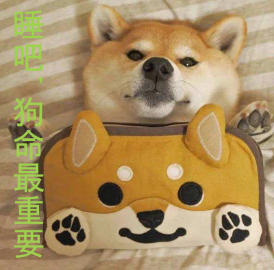 睡吧！狗命最重要