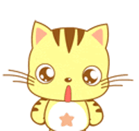 星猫宝宝表示不理解